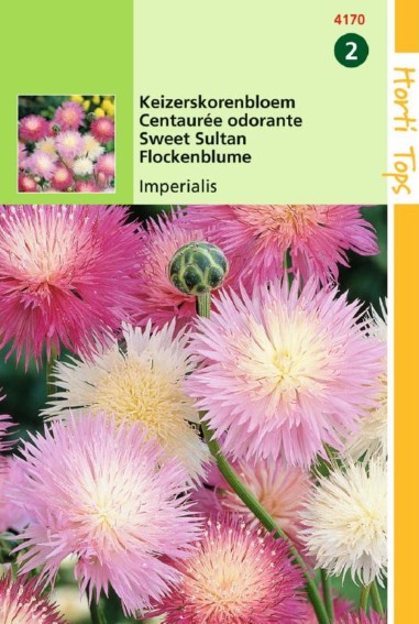 Keizerskorenbloem (Centaurea moschata) 250 zaden HT